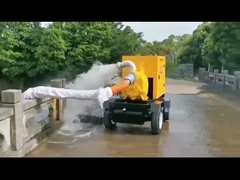 Leistungsfähige Hochwasserschutzpumpen Geschwindigkeit 1450 r/min für einzigartige Leistung