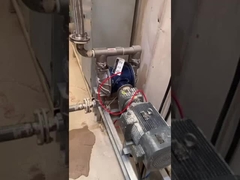 industrielle 100L/min Membranpumpe-elektrische chemische Verarbeitungspumpen