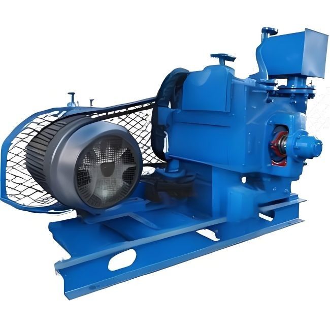 Rotordurchmesser 300-1480 mm Wasserring-Vakuumpumpe für Hochtemperaturumgebungen
