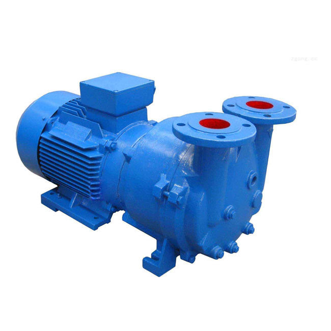 Rotordurchmesser 300-1480 mm Wasserring-Vakuumpumpe für Hochtemperaturumgebungen